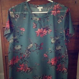 hinge sheer floral print short sleeve blouse